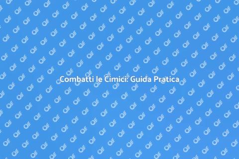 Disinfestazione dalle Cimici Efficace