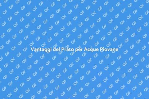 Prato per Controllo Acque Piovane