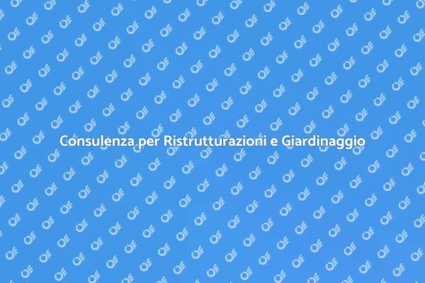 Trasforma il Tuo Spazio con Consulenza