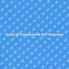 Installazione Facile dell'Alzawater