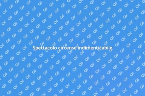 Esperienza circense per turisti