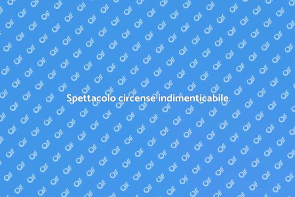 Un'avventura circense da vivere