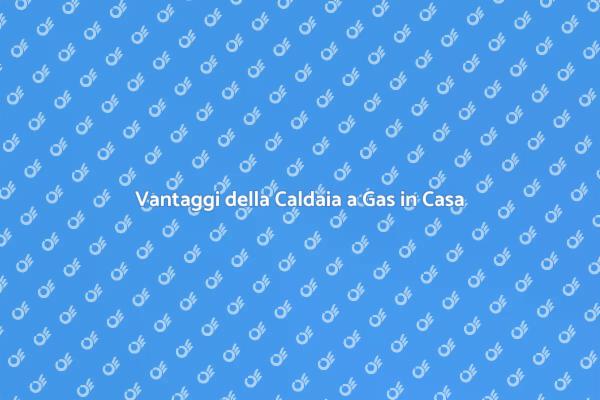 Caldaia a Gas: Comfort e Risparmio