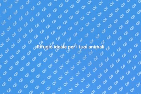 Pensione per animali sicura e accogliente