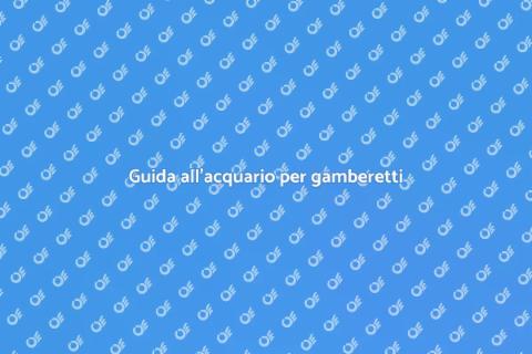 Acquario ideale per gamberetti