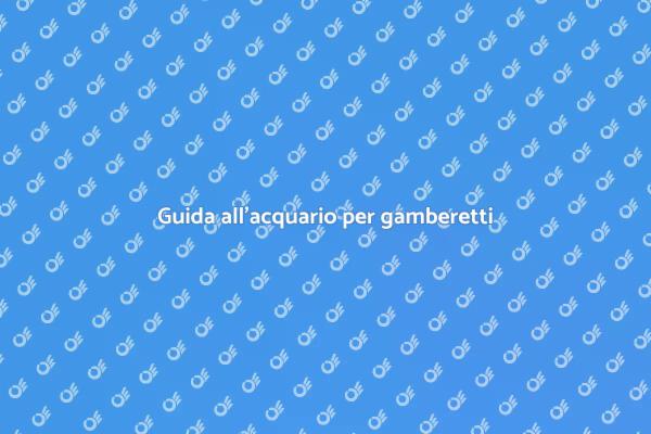 L'acquario ideale per i tuoi gamberetti