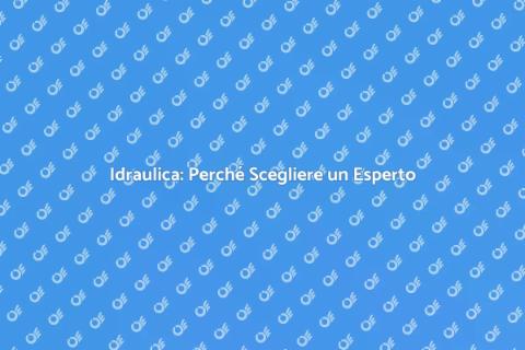 Servizio Idraulico: Affidati a un Pro