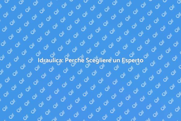 Perché Scegliere un Professionista Idraulico