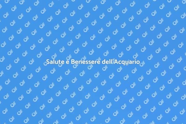 Mantenere un Acquario Sano e Equilibrato