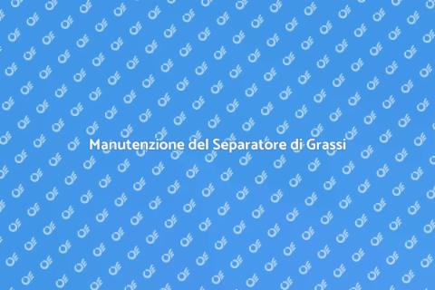Pulizia Separatore di Grassi Essenziale