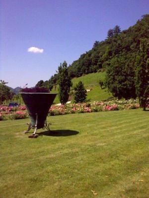 Azienda Florovivaistica Faraon Antonio  - Foto 7
