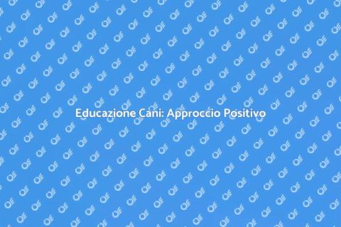 Addestramento Cani: Metodo Positivo