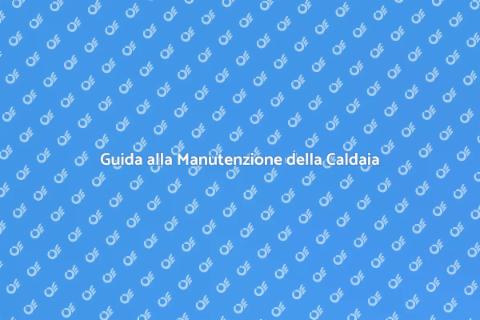 Manutenzione Caldaia a Biomassa