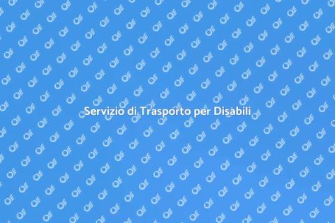Trasporto Persone Disabili: Servizio Essenziale