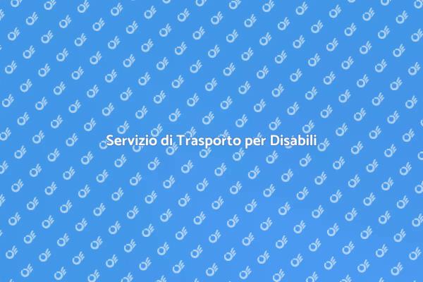 Mobilità per Persone Disabili: Scopri di Più