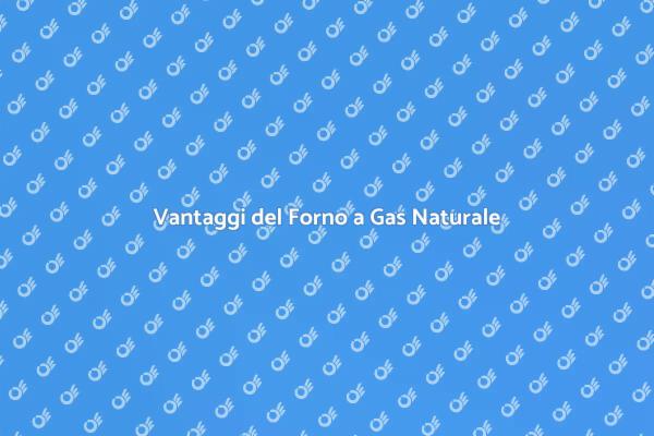 Perché Scegliere un Forno a Gas?