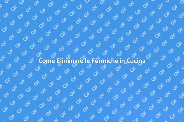 Formiche in Cucina: Come Disinfestare