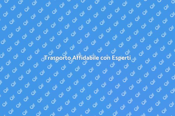 Trasporto Sicuro e Professionale