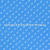 Crea il Tuo Camino in Muratura