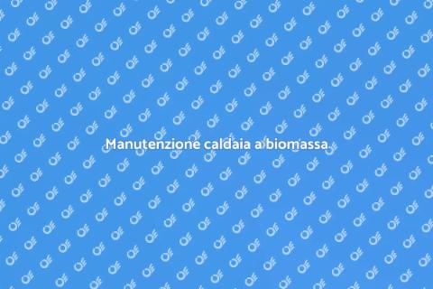 Assistenza caldaia a biomassa