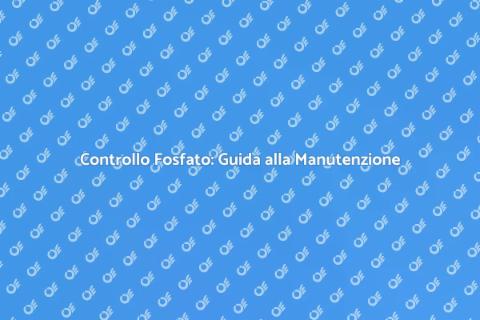 Manutenzione Sistemi Controllo Piscine