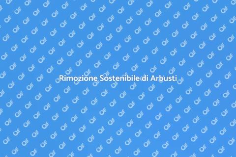 Smaltire un Arbusto Tagliato