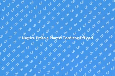 Concimazione Prato e Piante: Guida SEO