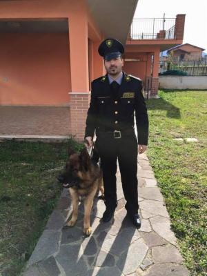 Security Global Srl  - Foto 5