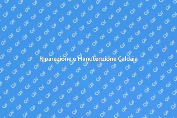 Manutenzione Essenziale della Caldaia