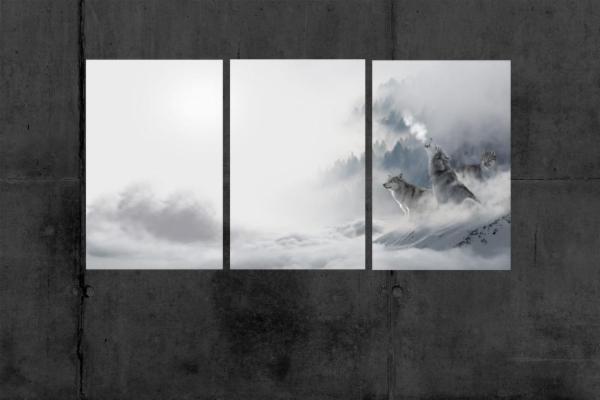 Alessandro Biosa - Foto 9