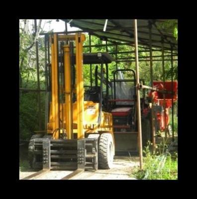 Azienda Florivivaistica Mannini & Brogi  - Foto 3