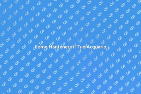 Manutenzione Acquario: Guida Completa