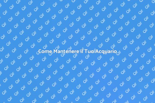 Manutenzione Efficace dell'Acquario