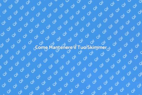 Manutenzione Skimmer Piscina Essenziale