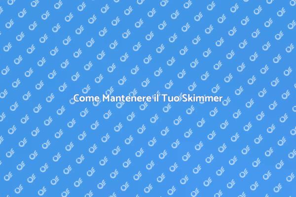 Manutenzione Skimmer per Piscina