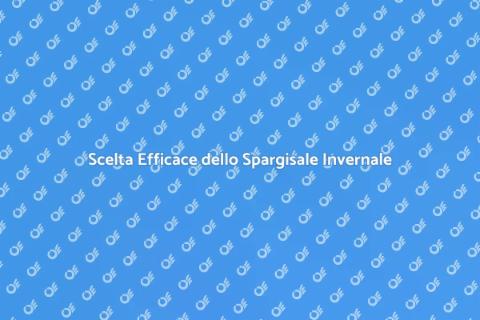 Miglior Spargisale per Inverno Sicuro