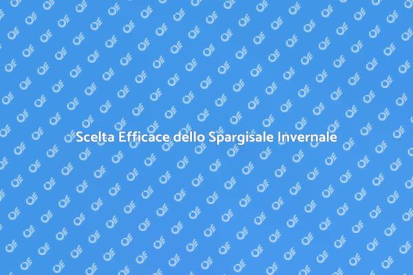Come Scegliere il Miglior Spargisale