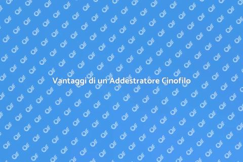 Assumere un Addestratore Cinofilo