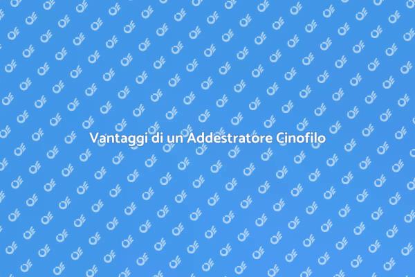 Perché Scegliere un Addestratore Cinofilo