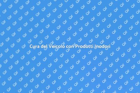 Pulizia Veicolo con Prodotti Inodori