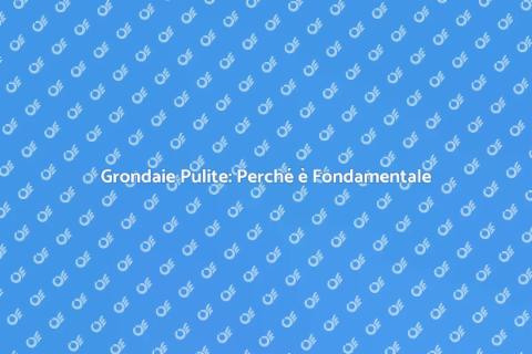 Pulizia Grondaie: Importanza e Vantaggi