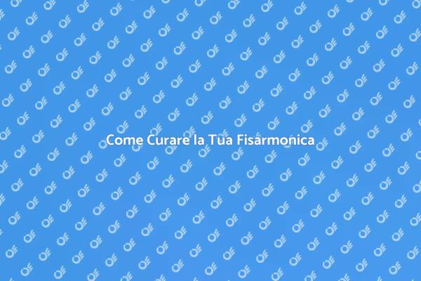 Manutenzione Fisarmonica: I Segreti