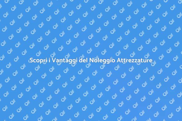 Attrezzature da Noleggiare per Scavi