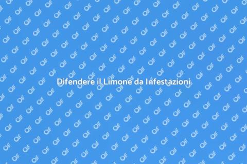 Prevenire Infestazioni del Limone