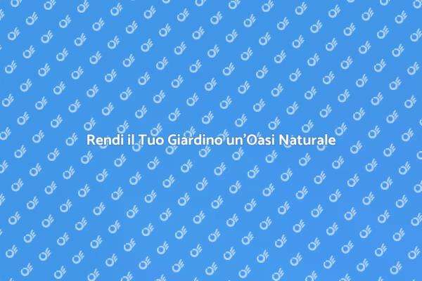 Trasforma il Tuo Giardino in un Paradiso