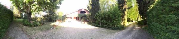 Dogs Accademy - Foto 6