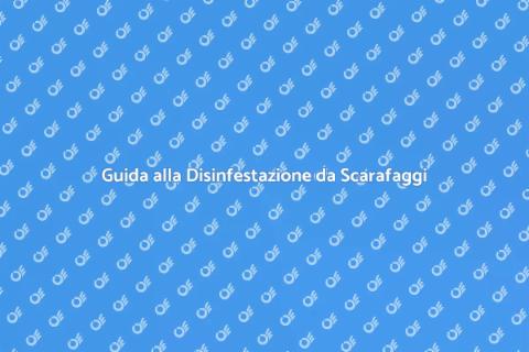 Disinfestazione da Scarafaggi Efficace