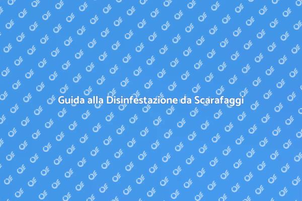 Come Liberarsi dagli Scarafaggi