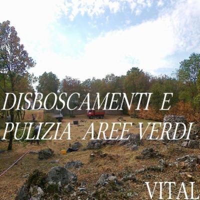 Vital  - Foto 8