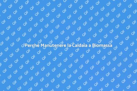 Manutenzione Caldaia a Biomassa